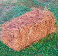 USA Premium Pine Straw Pine Needle Mulch - Covers 65-80 Sqft