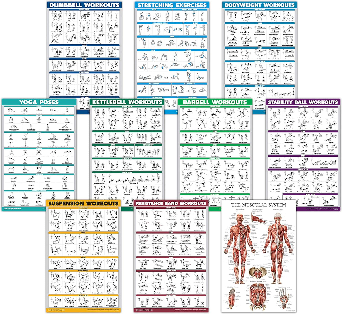 10 Pack QuickFit Exercise Poster Set - All-in-One Fitness Guide (LAMINATED)