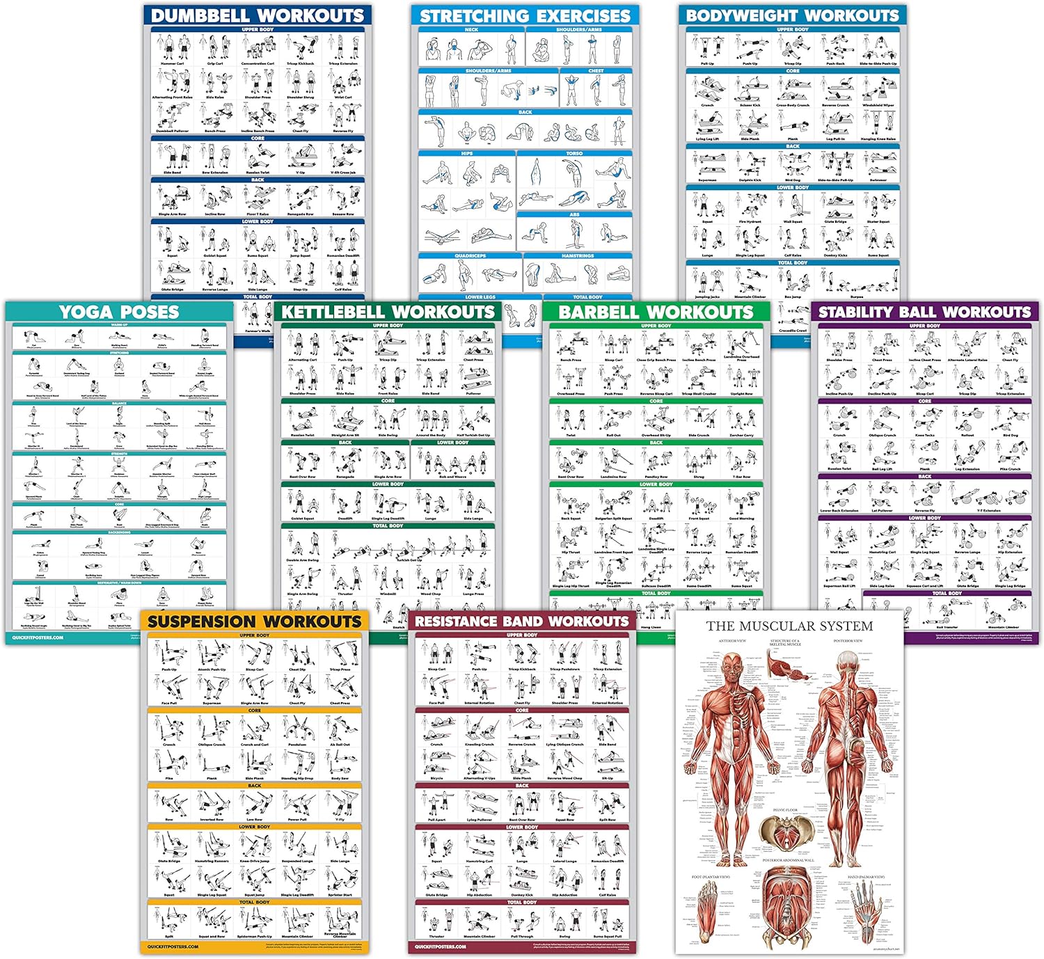 10 Pack QuickFit Exercise Poster Set - All-in-One Fitness Guide (LAMINATED)