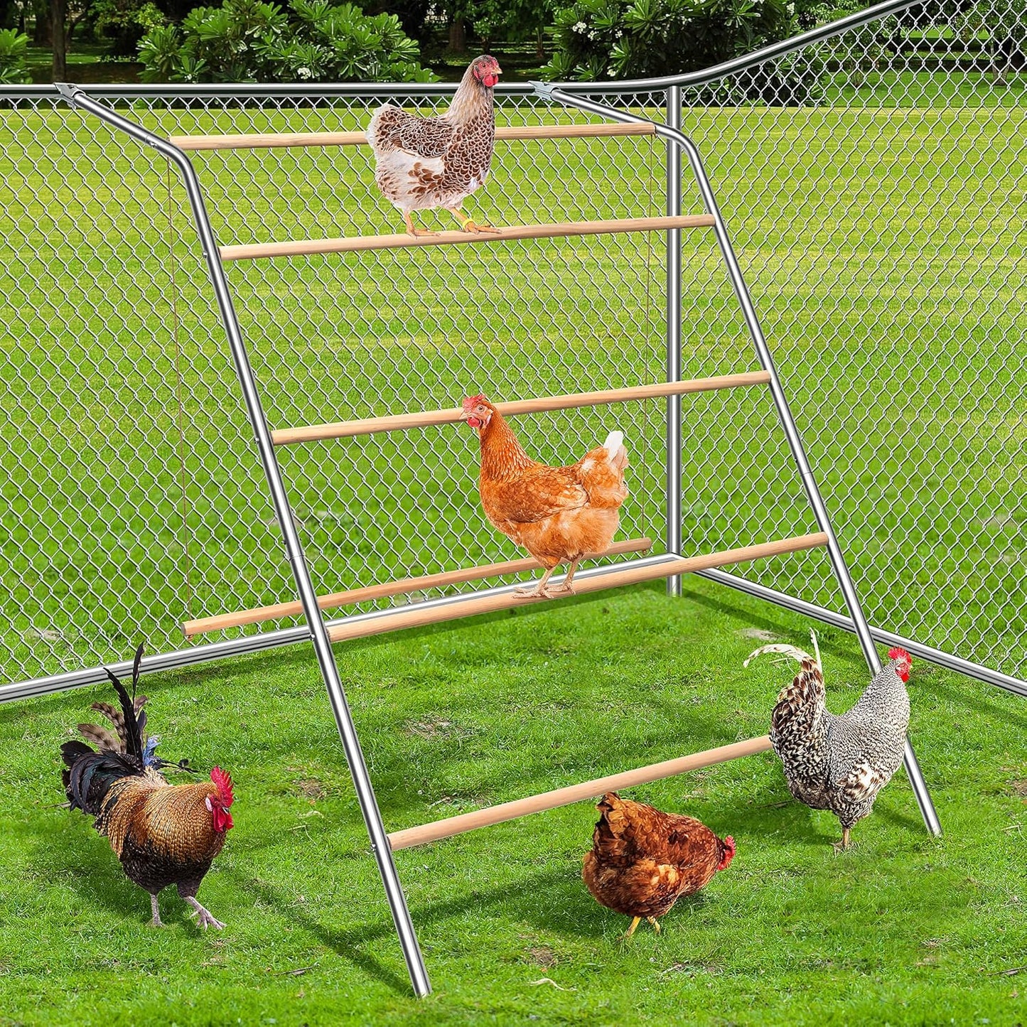 Large Chicken Perch with Swing for Backyard Poultry Fun