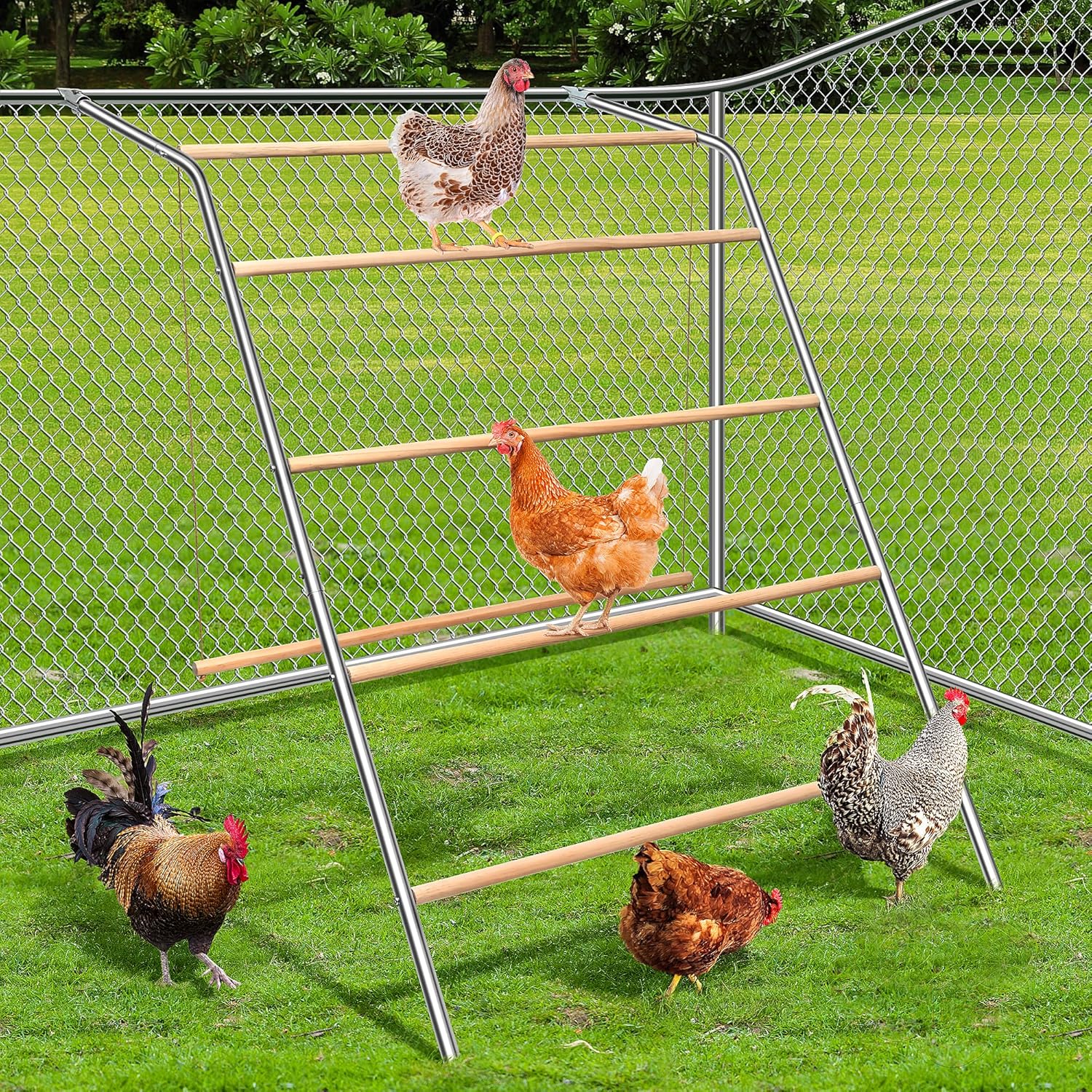 Large Chicken Perch with Swing for Backyard Poultry Fun