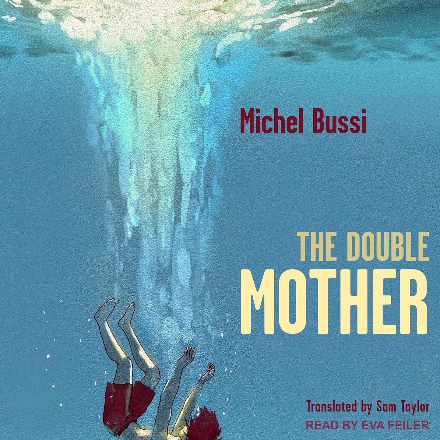 The Double Mother by Michel Bussi - A Gripping Mystery Novel