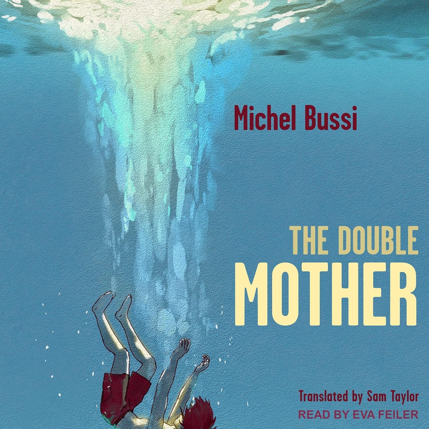 The Double Mother by Michel Bussi - A Gripping Mystery Novel