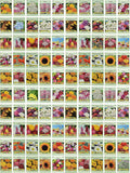 Set of 100 Assorted Valley Green Flower Seed Packets - Bulk Variety