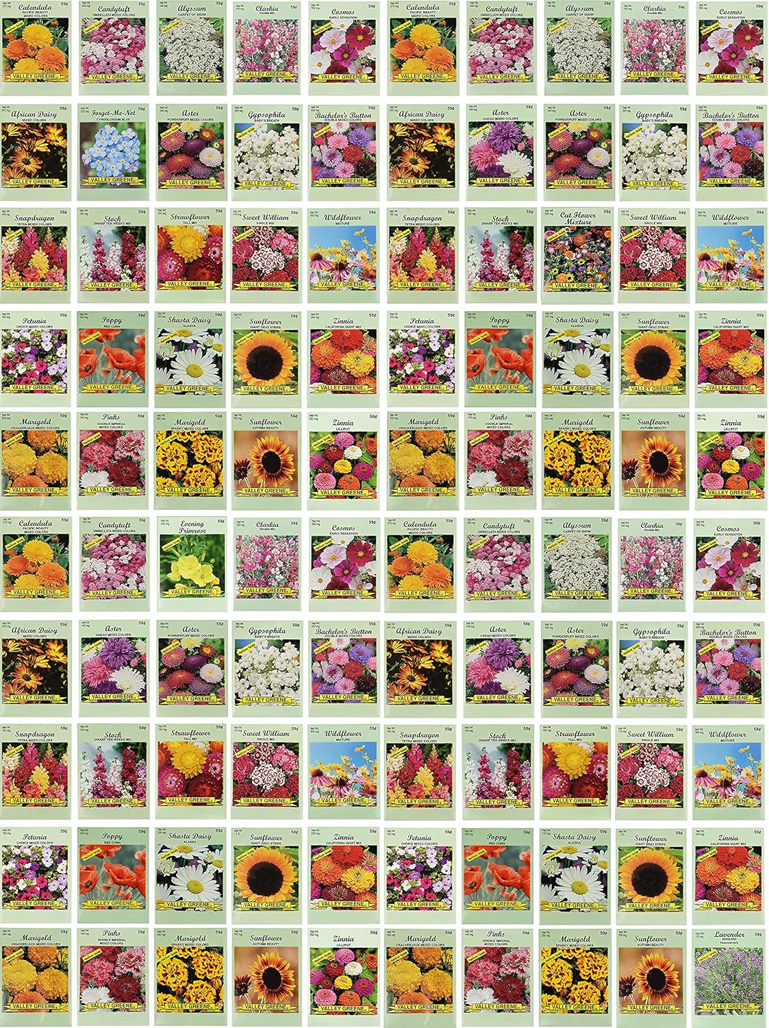Set of 100 Assorted Flower Seed Packets for Garden Lovers