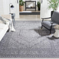 SAFAVIEH Adirondack Area Rug 8 ft x 10 ft - Durable, Low-Shed
