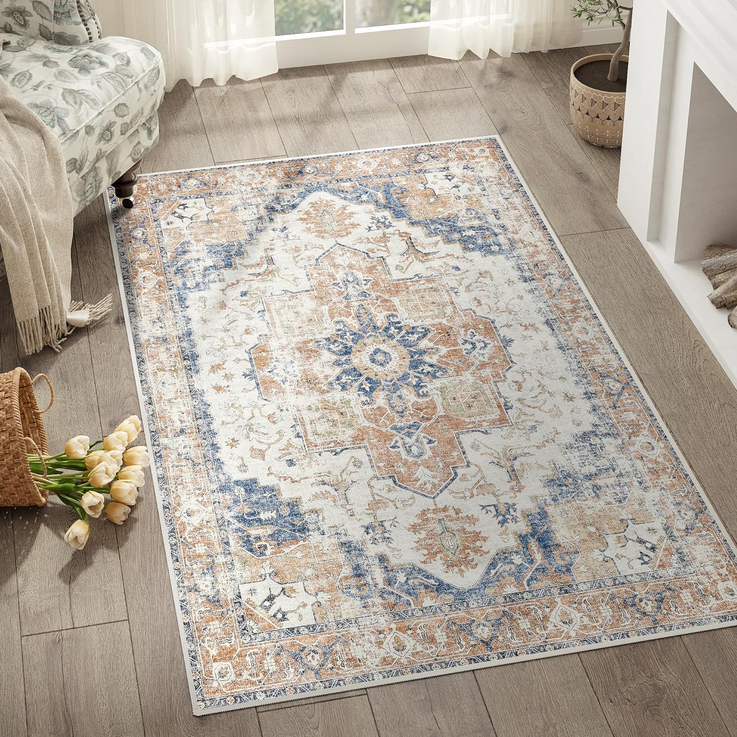 Stain-Resistant Vintage Entry Rug 3x5 by jinchan