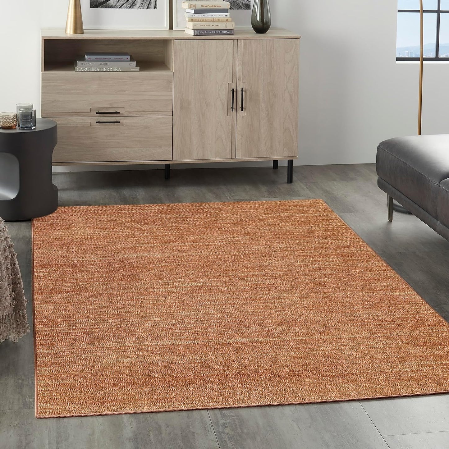 Nourison Home Essentials 5ft x 7ft Rust Fabric Area Rug Review