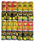 Hawaiian Sun Drinks 24 Pack Sampler - Tropical Variety Pack