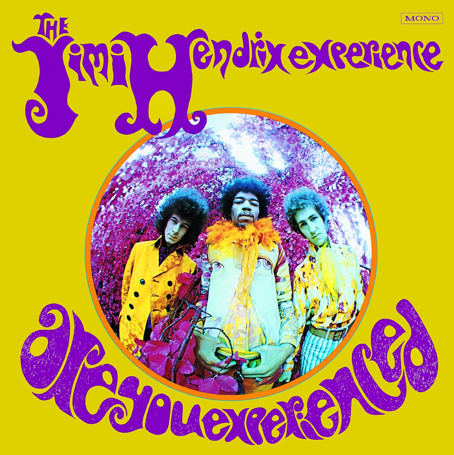 Are You Experienced US Sleeve Vinyl Record for Music Lovers