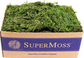 Forest Moss Preserved Fresh Green 3 Pounds - Natural Lining