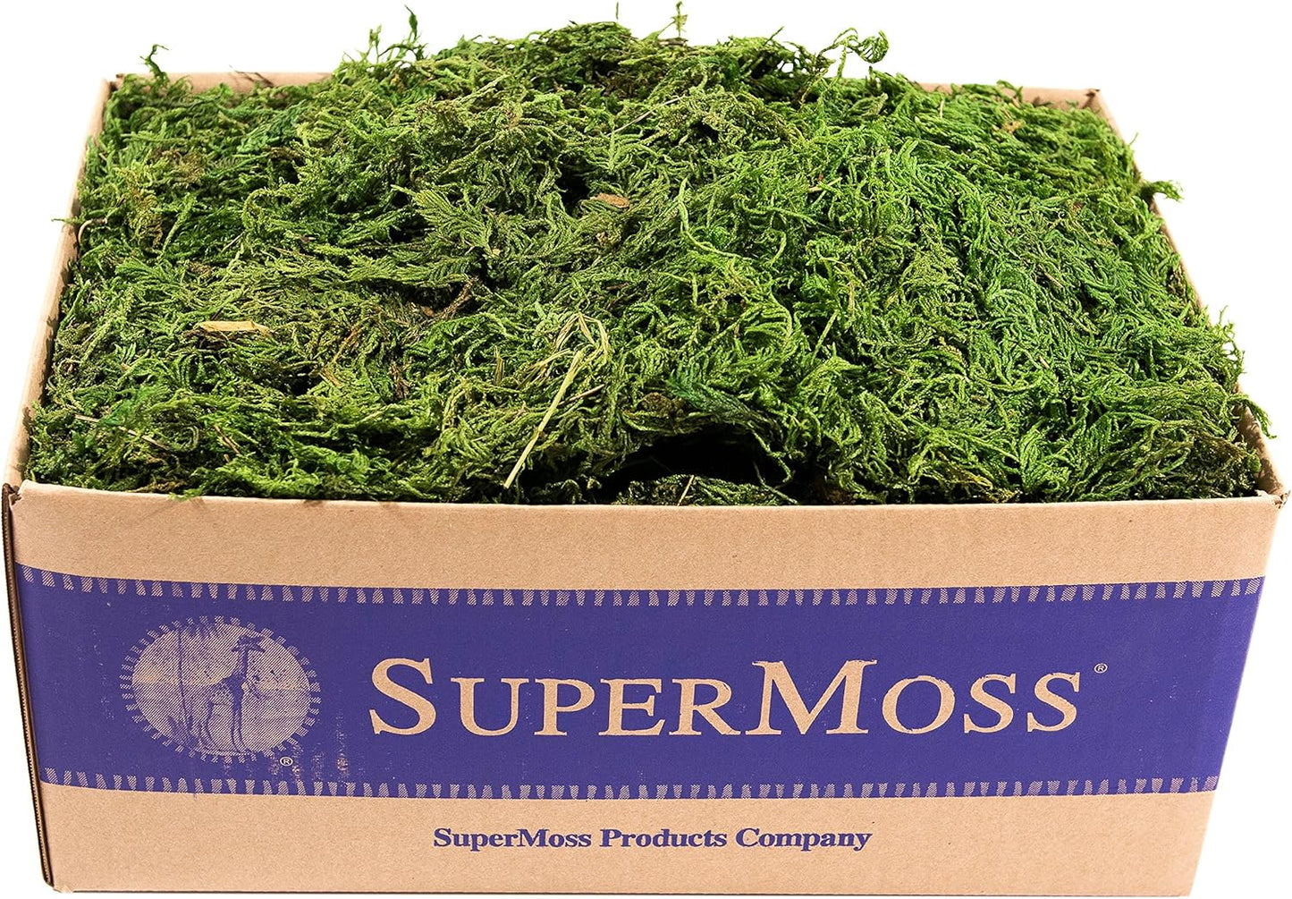 Preserved Forest Moss for Potted Plants and Floral Arrangements