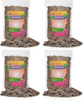 Madagascar Palm Potting Mix - High-Performance 20 Quart
