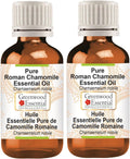 Roman Chamomile Oil for Skin Hydration and Hair Wellness