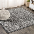 Vine & Border Indoor Outdoor Square Area Rug 5X5 - Easy-Clean, Durable