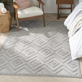 Versatile Indoor/Outdoor Silver Grey 4 ft x 6 ft Rug - Soft, Easy