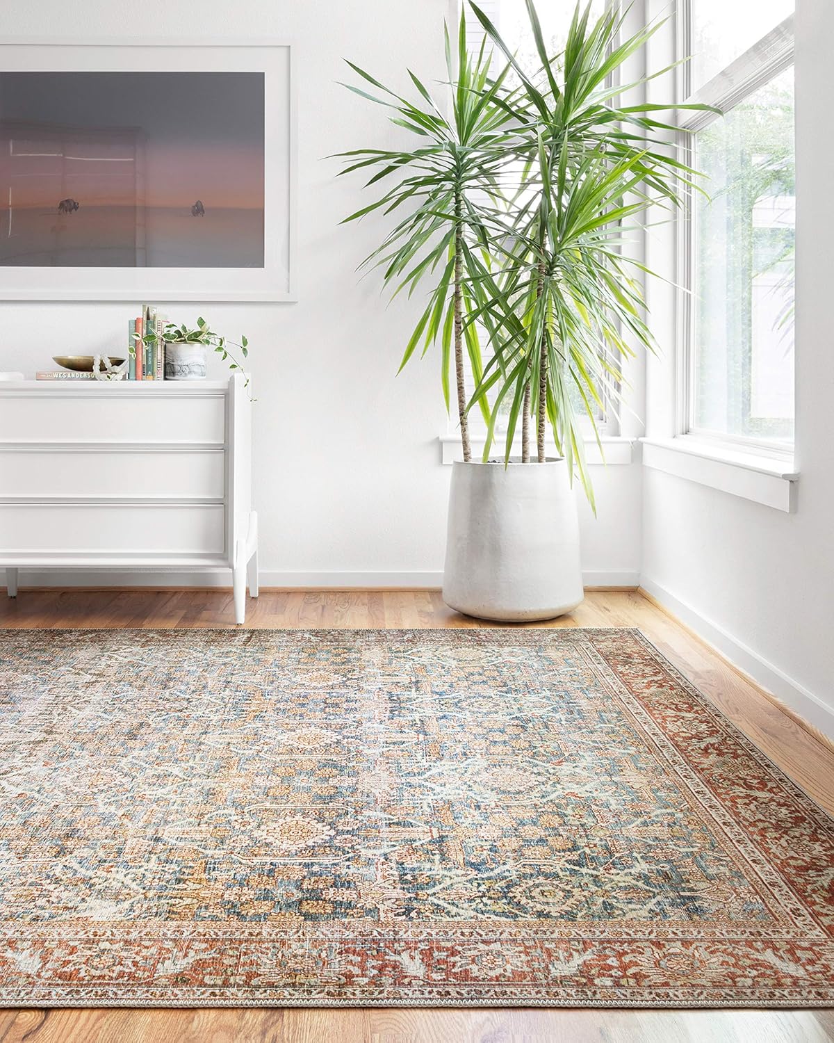 Loloi Layla Collection Vintage Inspired Area Rug for Living Room