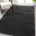 Haze Solid Low-Pile Black Indoor Area Rug 3x5 - Durable, Pet-Friendly