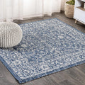 Vine & Border Indoor Outdoor Square Area Rug 5X5 - Durable Patio