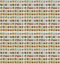 Flower Seed Packets Bulk Set of 500 - Great Value for Classrooms