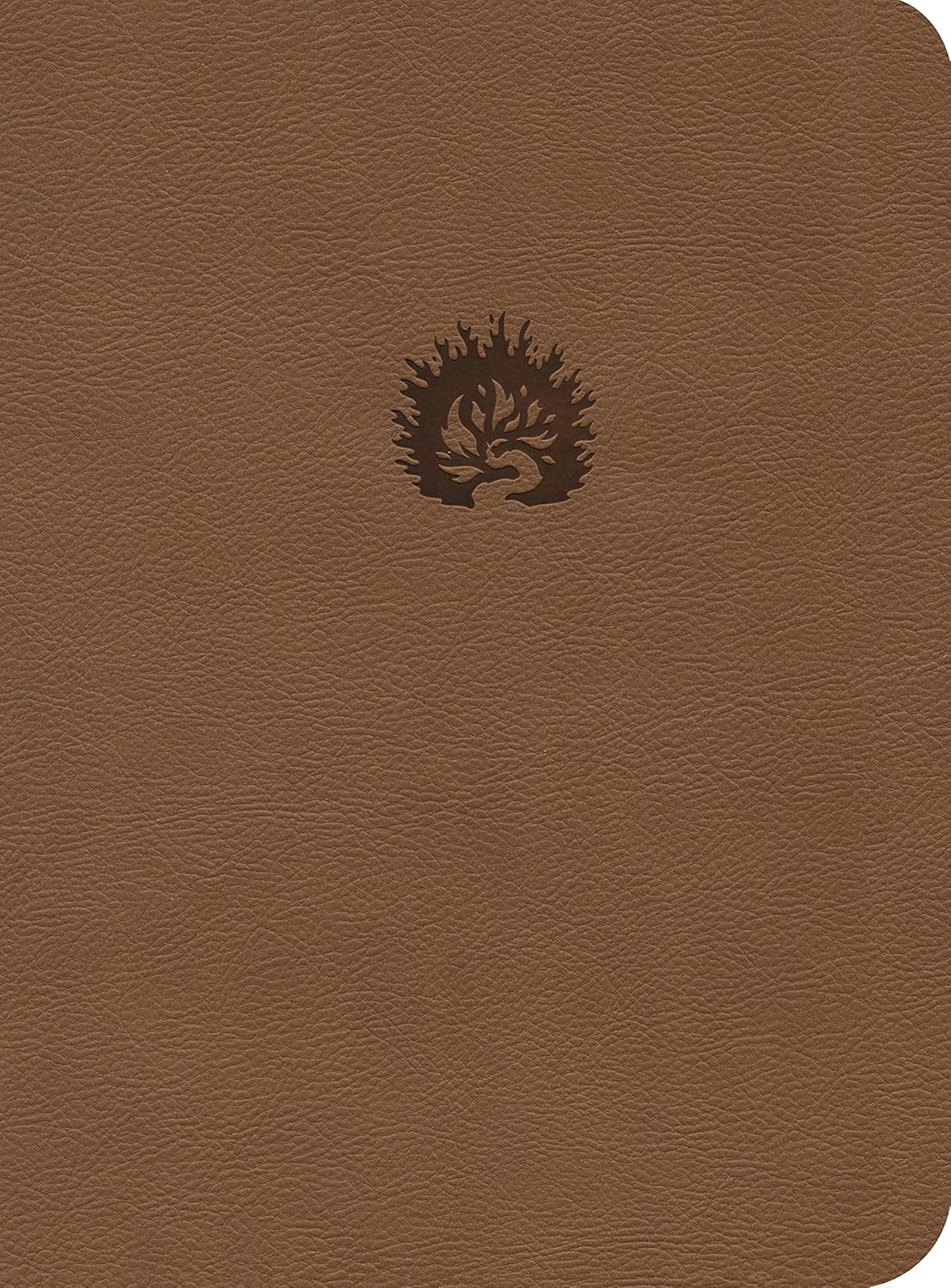 ESV Reformation Study Bible in Light Brown Leather-Like Cover