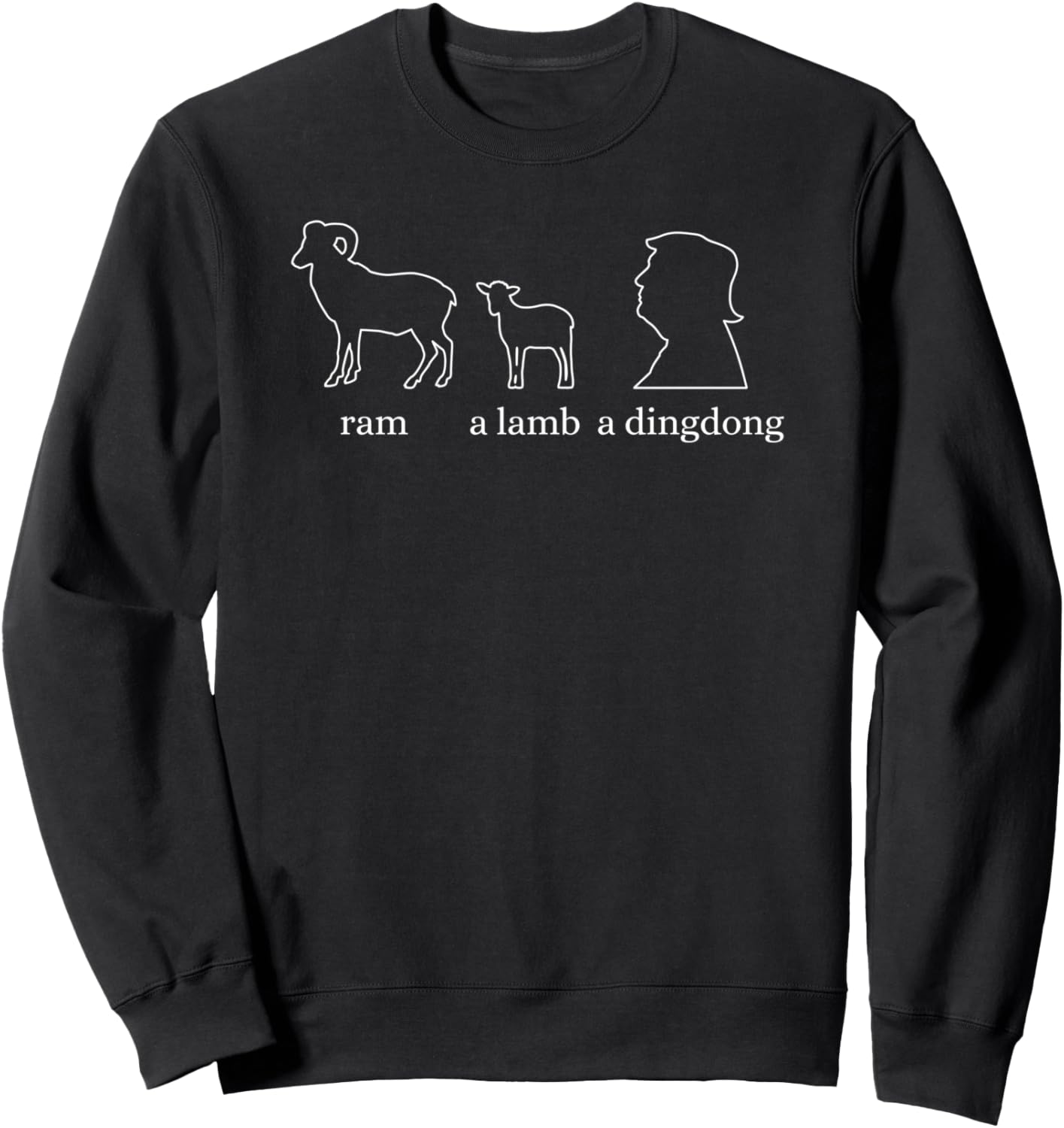 Anti Trump Humor Sweatshirt - Unique Design