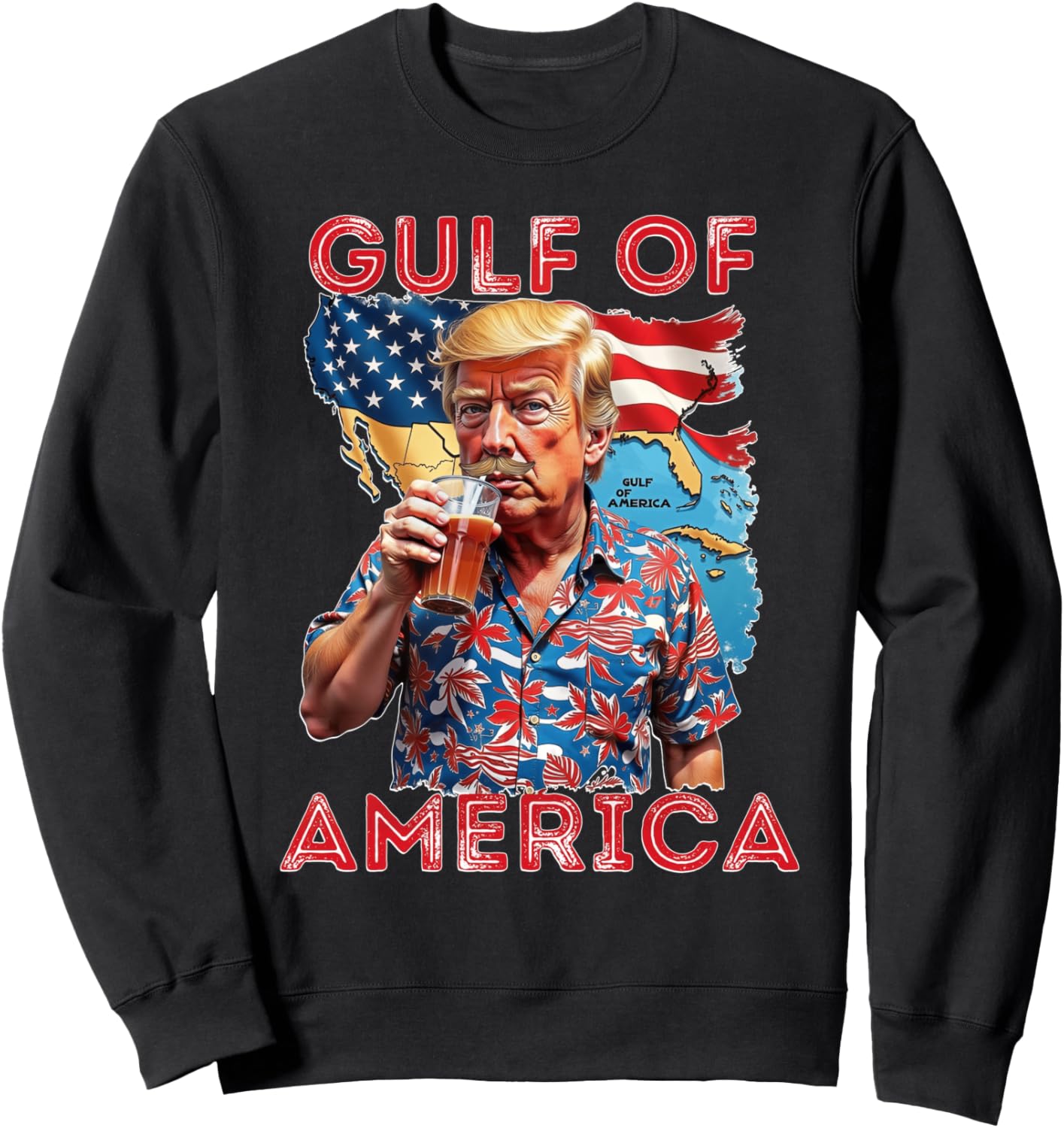 Gulf of USA Fun Sweatshirt