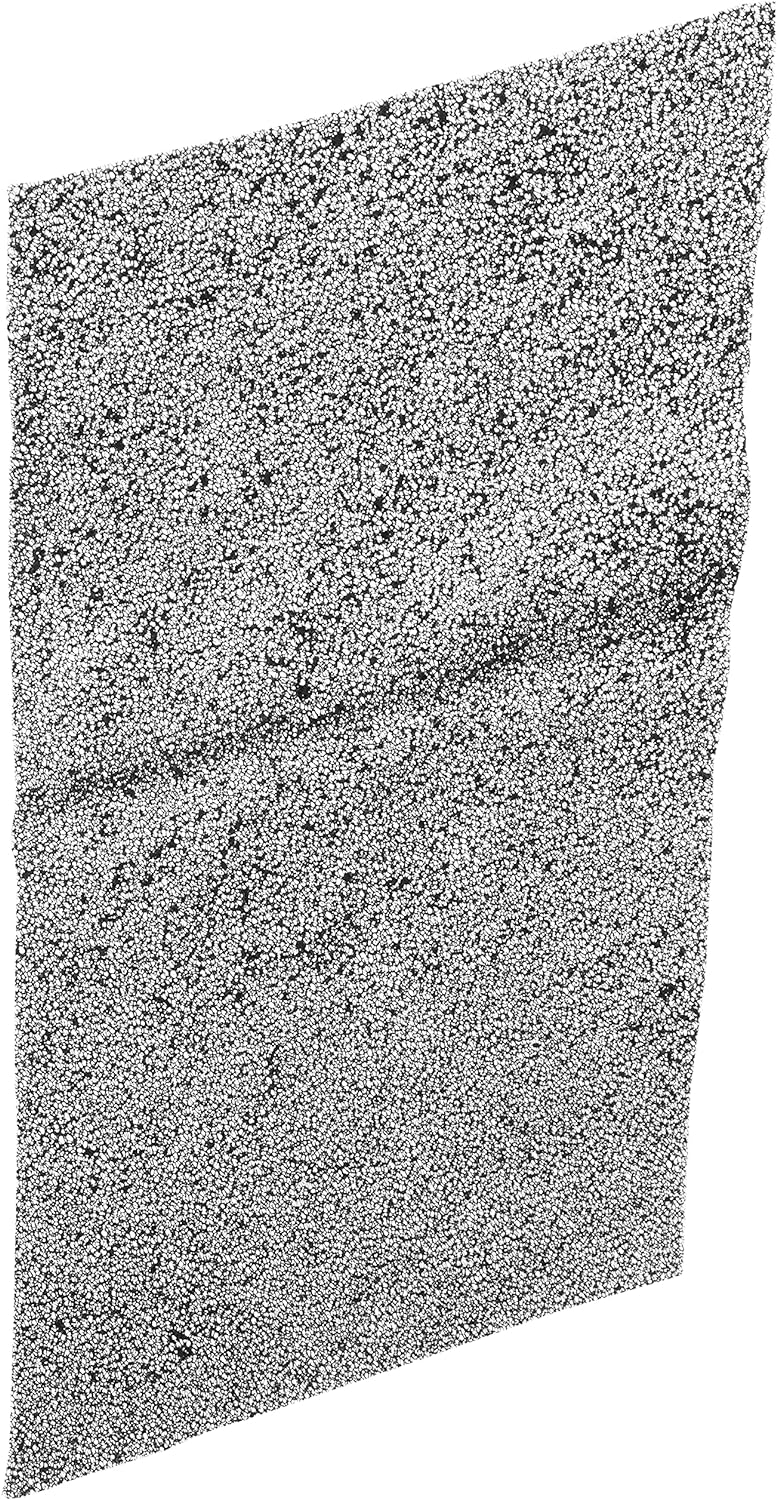 Whynter Activated Carbon Filter: Cleaner Air Refreshed