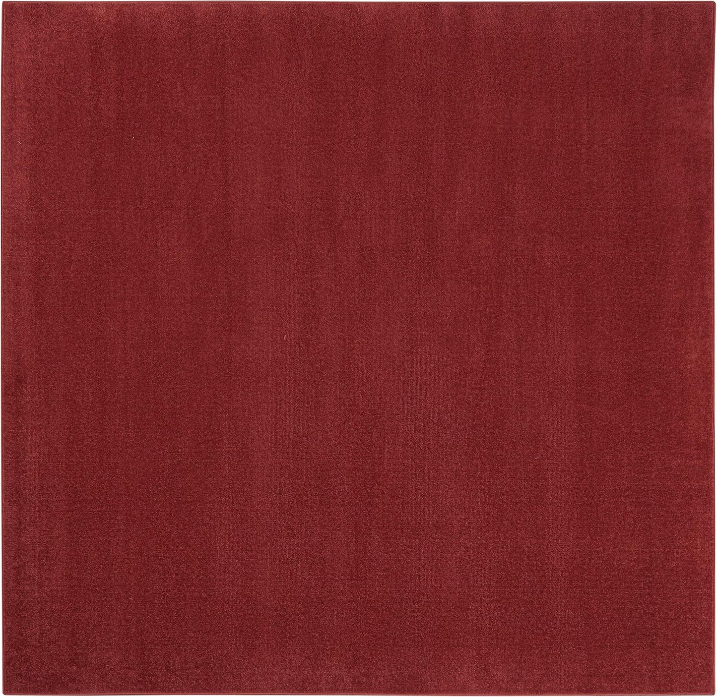 Nourison Essentials Indoor/Outdoor Brick Red Area Rug for All Spaces