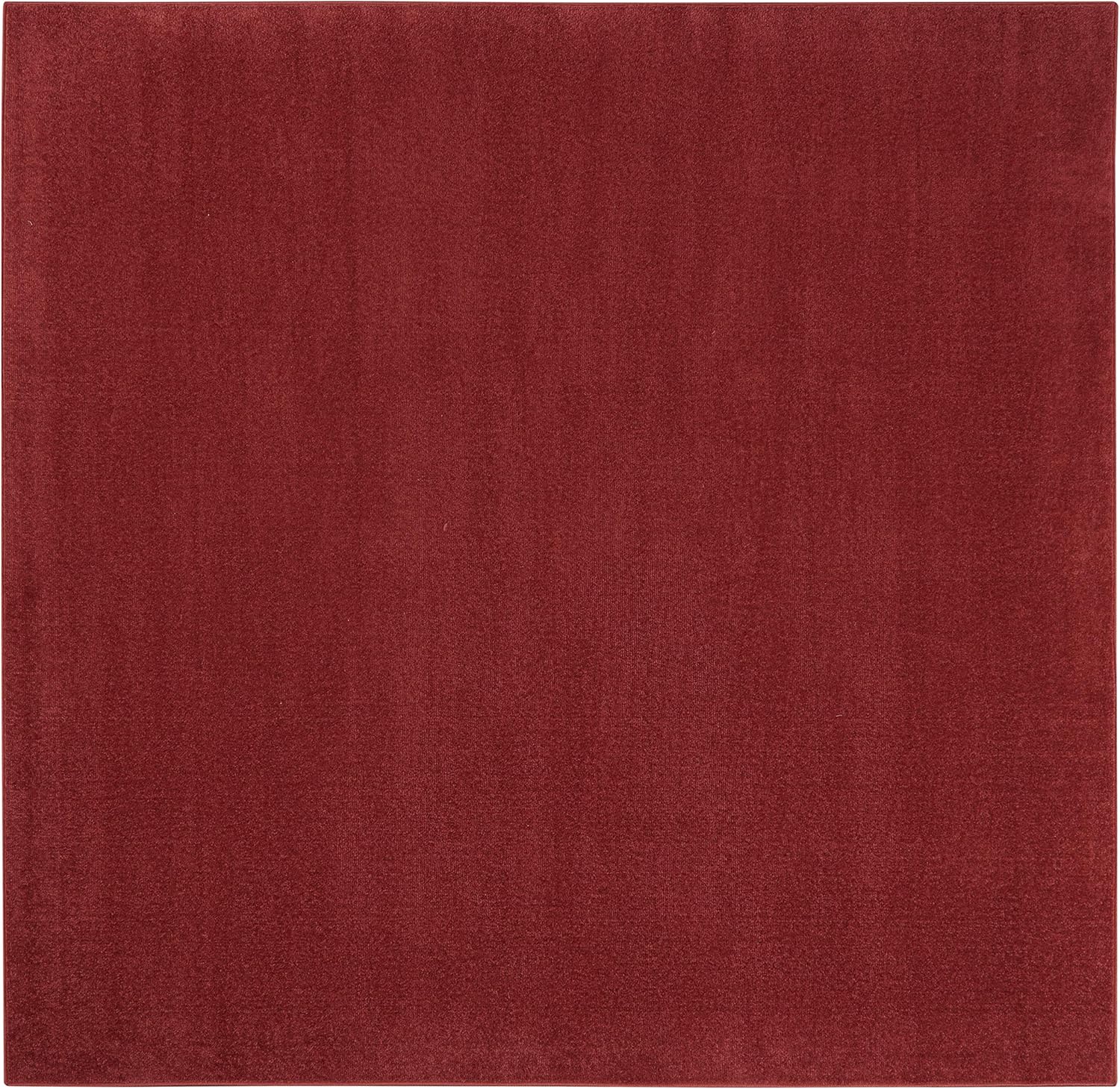 Nourison Essentials Indoor/Outdoor Brick Red Area Rug for All Spaces