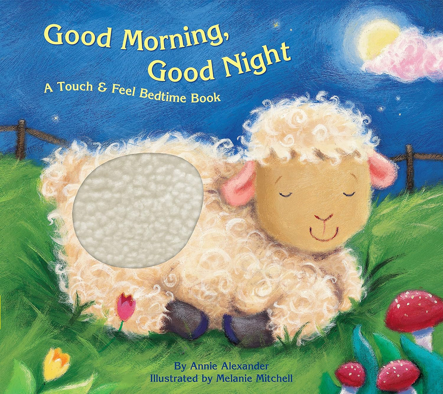 Interactive Touch & Feel Piggy Toes Storybook