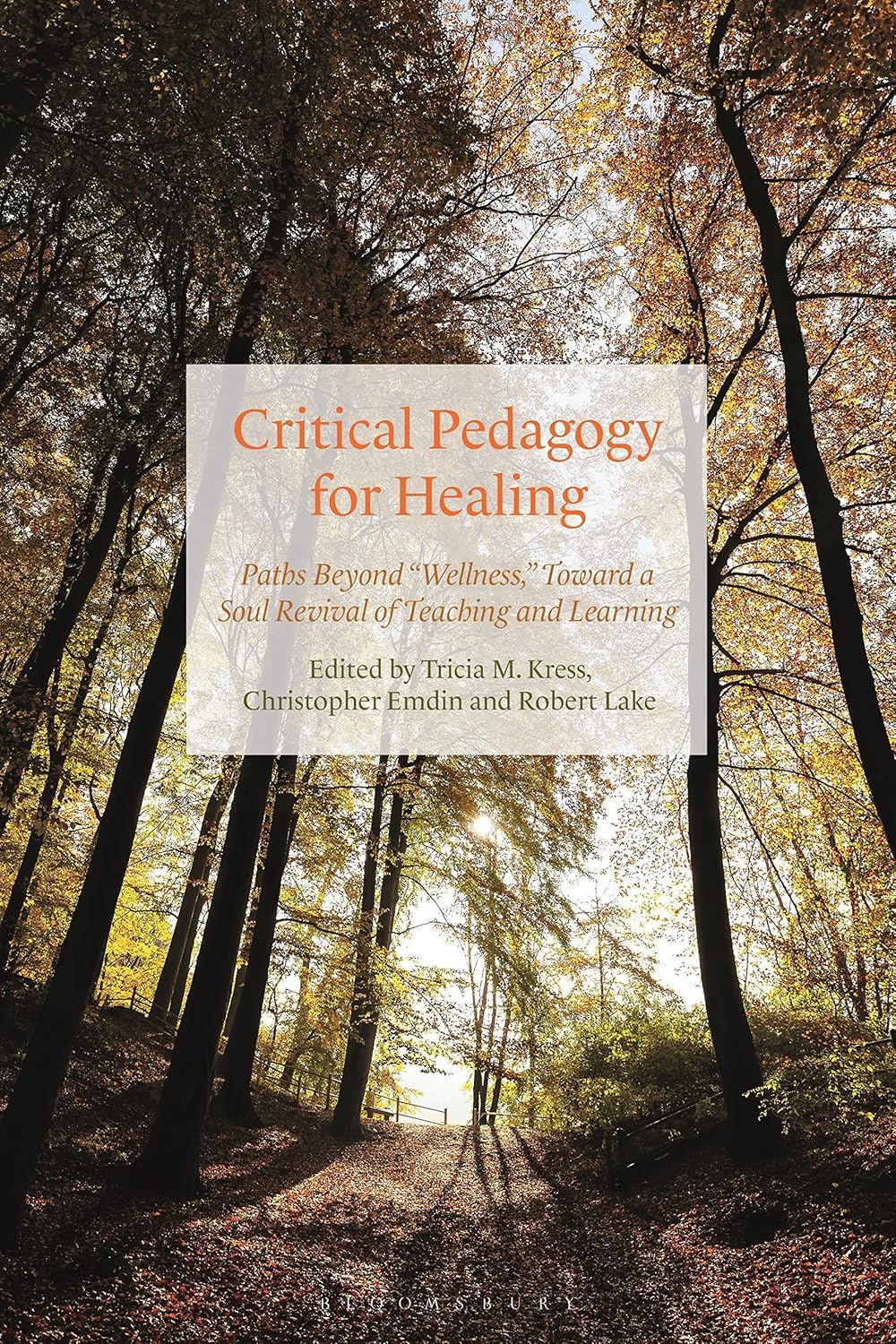 Critical Pedagogy for Healing: A Soul Revival in Education