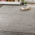 Mercer Shag Plush Tassel Indoor Area Rug for Modern Living