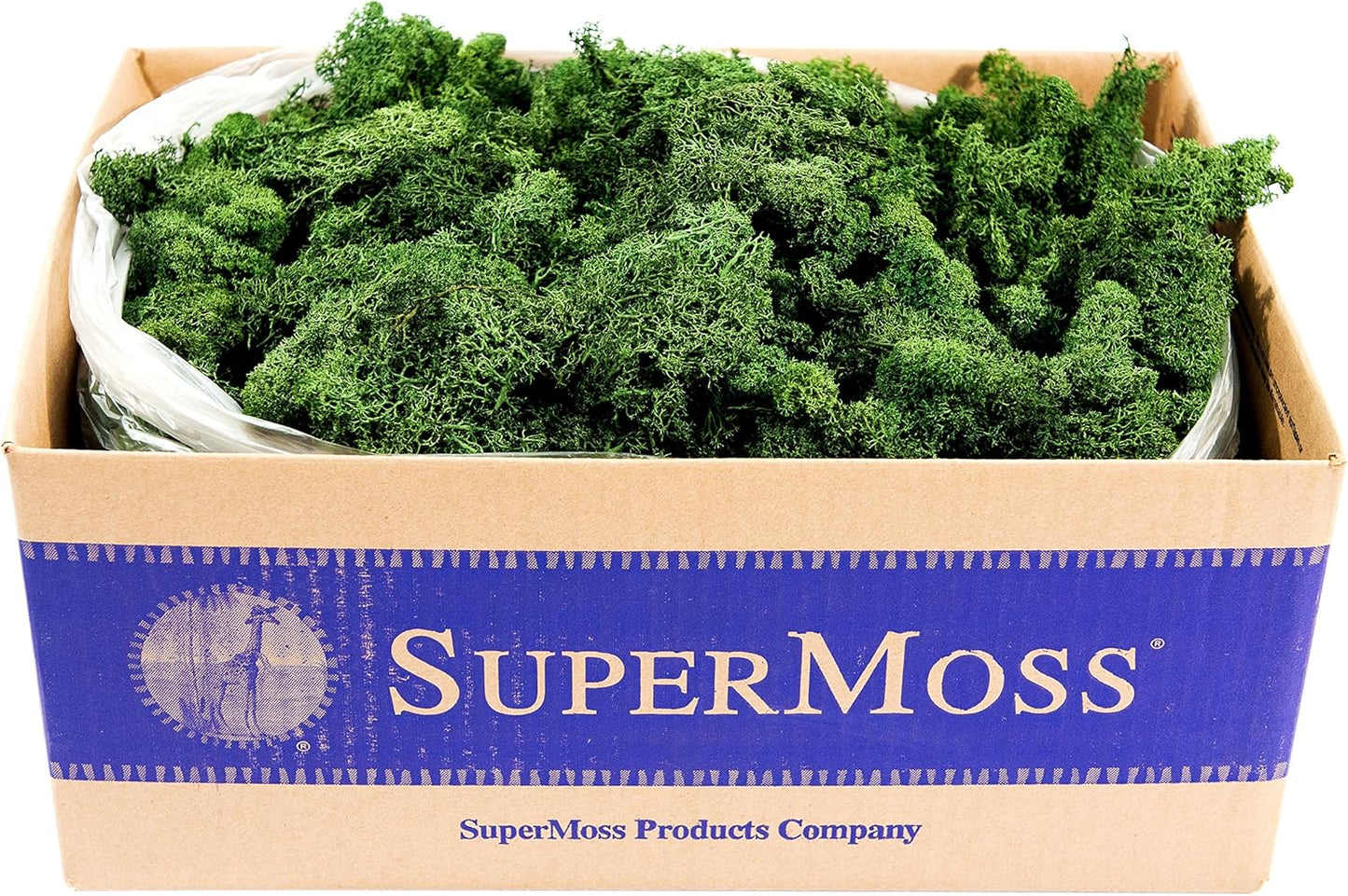 Reindeer Moss Preserved in Forest Green for Floral Arrangements