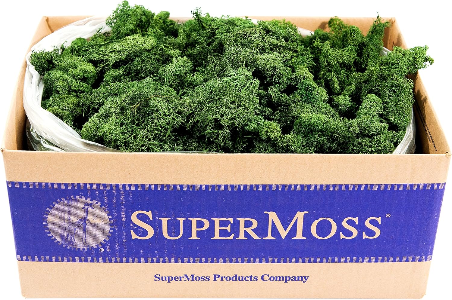Reindeer Moss Preserved in Forest Green for Floral Arrangements
