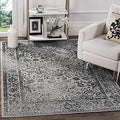 SAFAVIEH Adirondack X-Large Area Rug for Stylish Home Decor