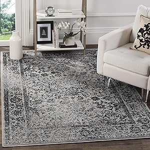 SAFAVIEH Adirondack Collection X-Large Area Rug for Home
