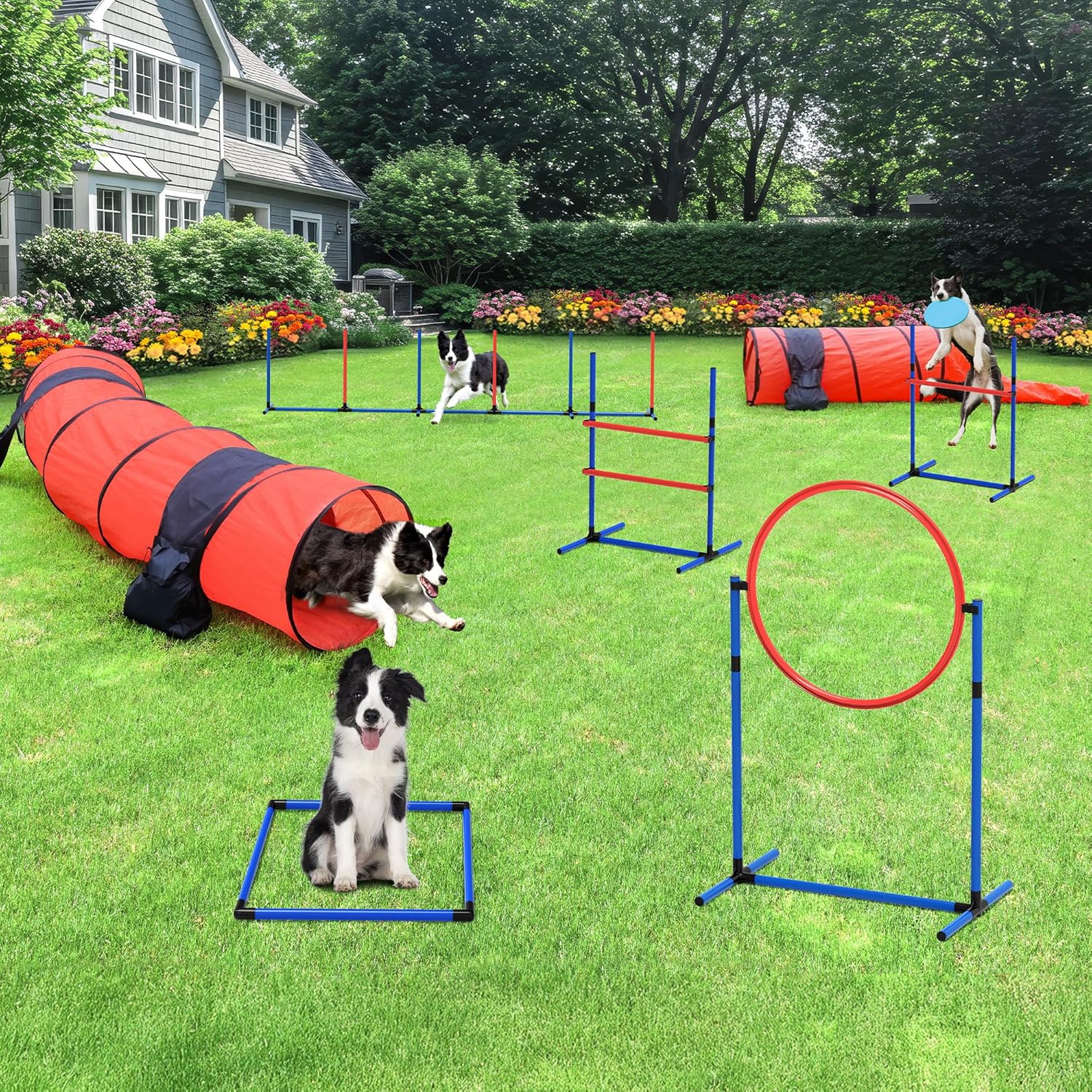 DWVO Dog Agility Accessories Kit for Backyard Training Fun