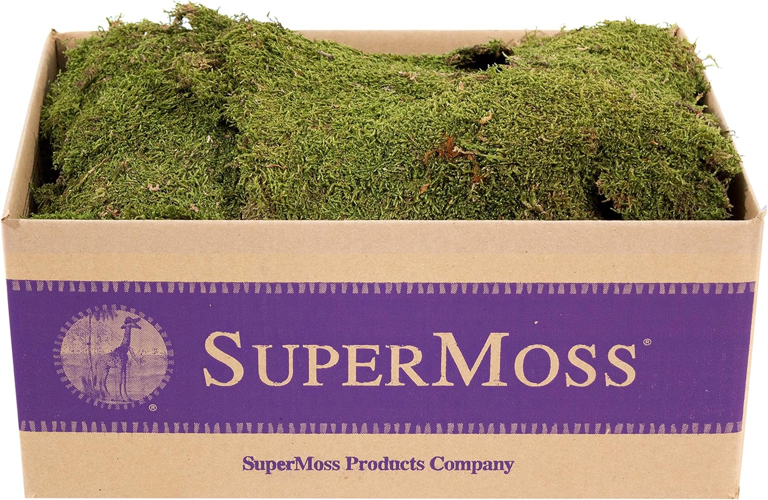 SuperMoss Sheet Moss Preserved for Floral Arrangements and Crafts