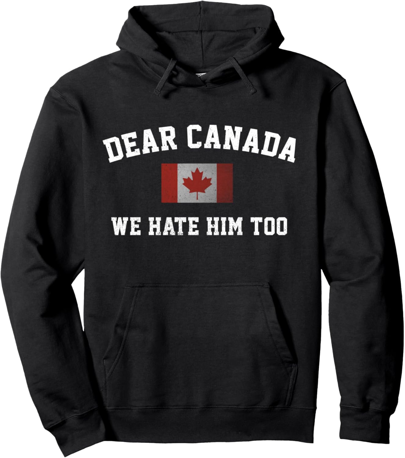 Political Protest Hoodie - Dear Canada We Hate Him Too