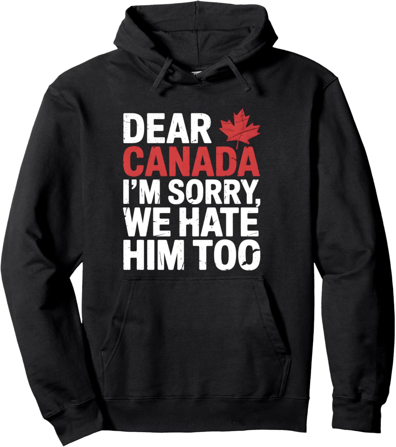 Apology Hoodie: Uniting Canada 